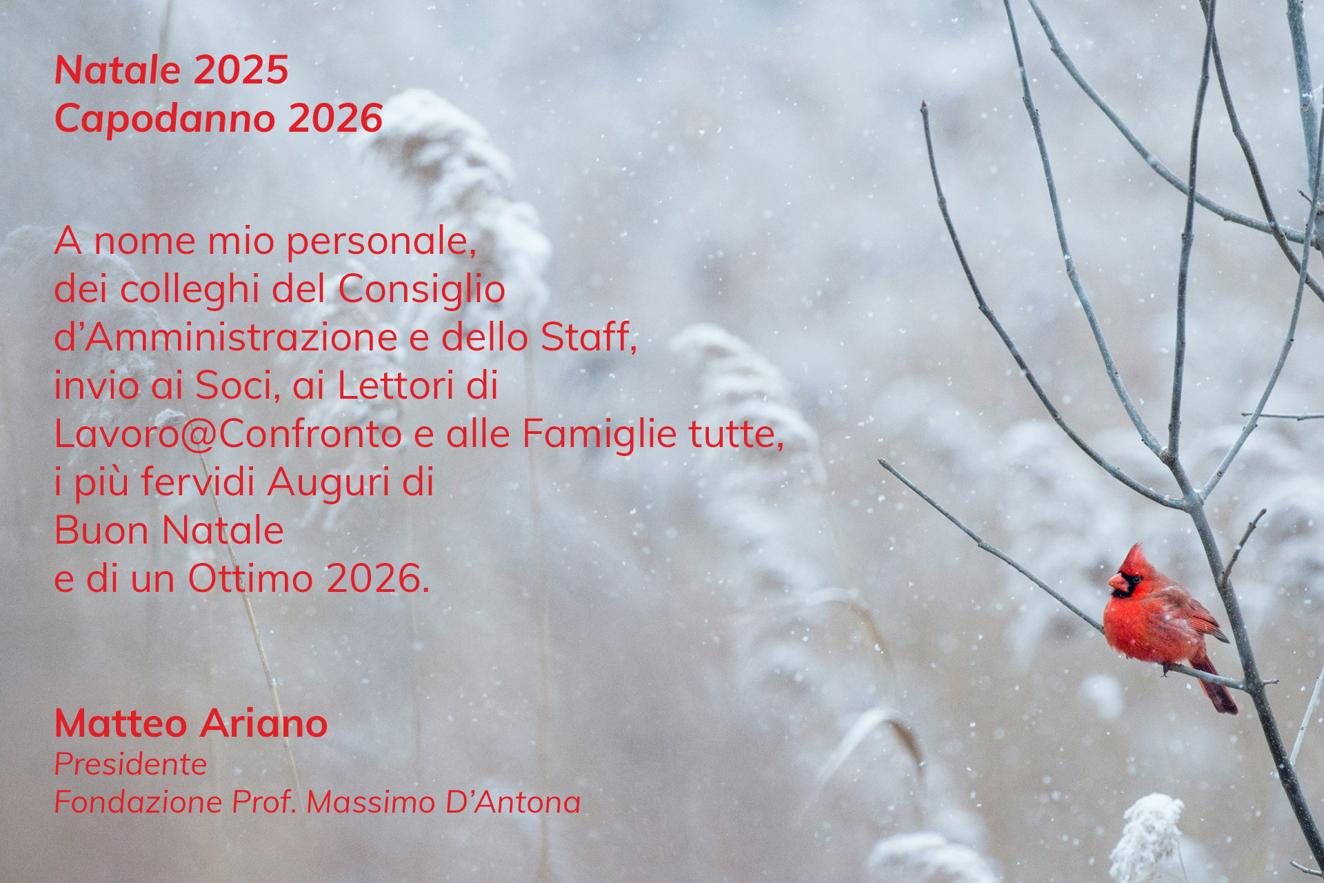 Auguri Natale 2025 2 Auguri Natale 2025 2